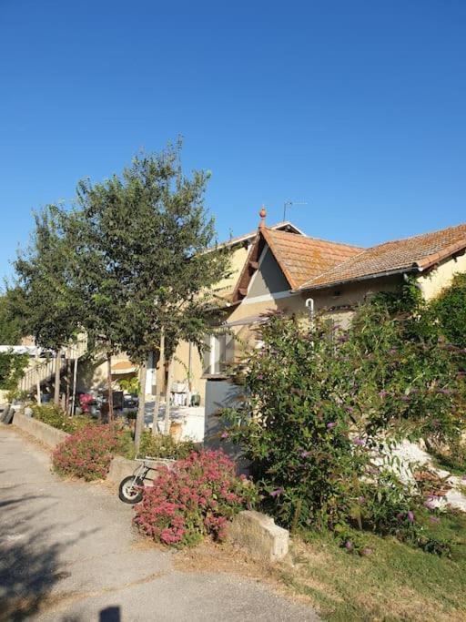 St Remy De Provence, La Maison Du Berger Saint-Andiol Экстерьер фото